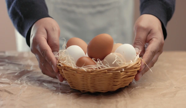 Colruyt Group Pulls Eggs from Shelves Amid Salmonella egg recall