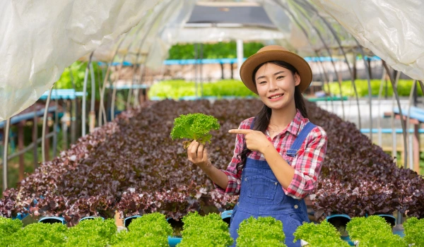 Vietnam Expands Climate-Smart Agriculture Investment