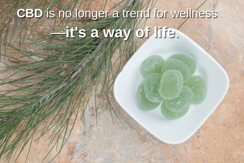 Blissful Wellness CBD Gummies Review 2025