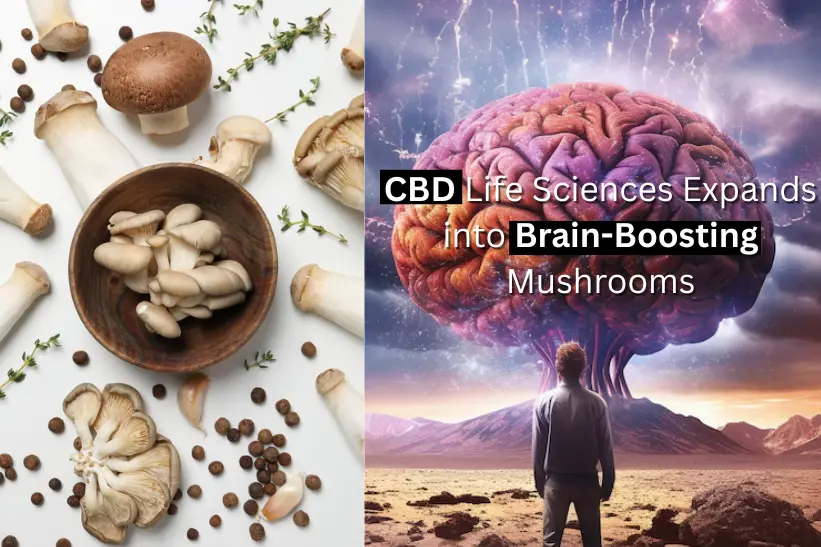 CBD Life Sciences Expands into Brain-Boosting Mushrooms